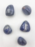 A collection of TUMBLED SODALITE stones on a white surface.