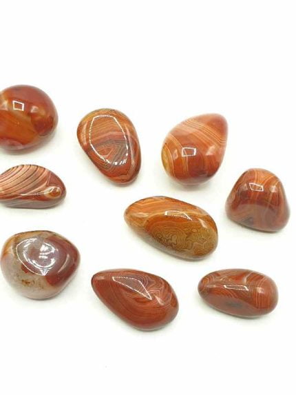 A group of Madagascar Agate or Sardonica stones on a white background.
