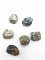 A group of rocks with DENDRITE TUMBLED motifs on a white background.