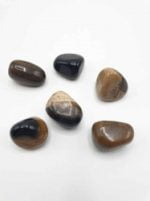 Tiger's eye pebbles on white surface TUMBLED FOSSILIZED WOOD.