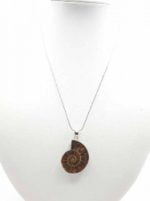 A pendant pendant of ammonite on a mannequin.
