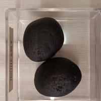 Two BLACK tektite in a transparent box on top of a table.